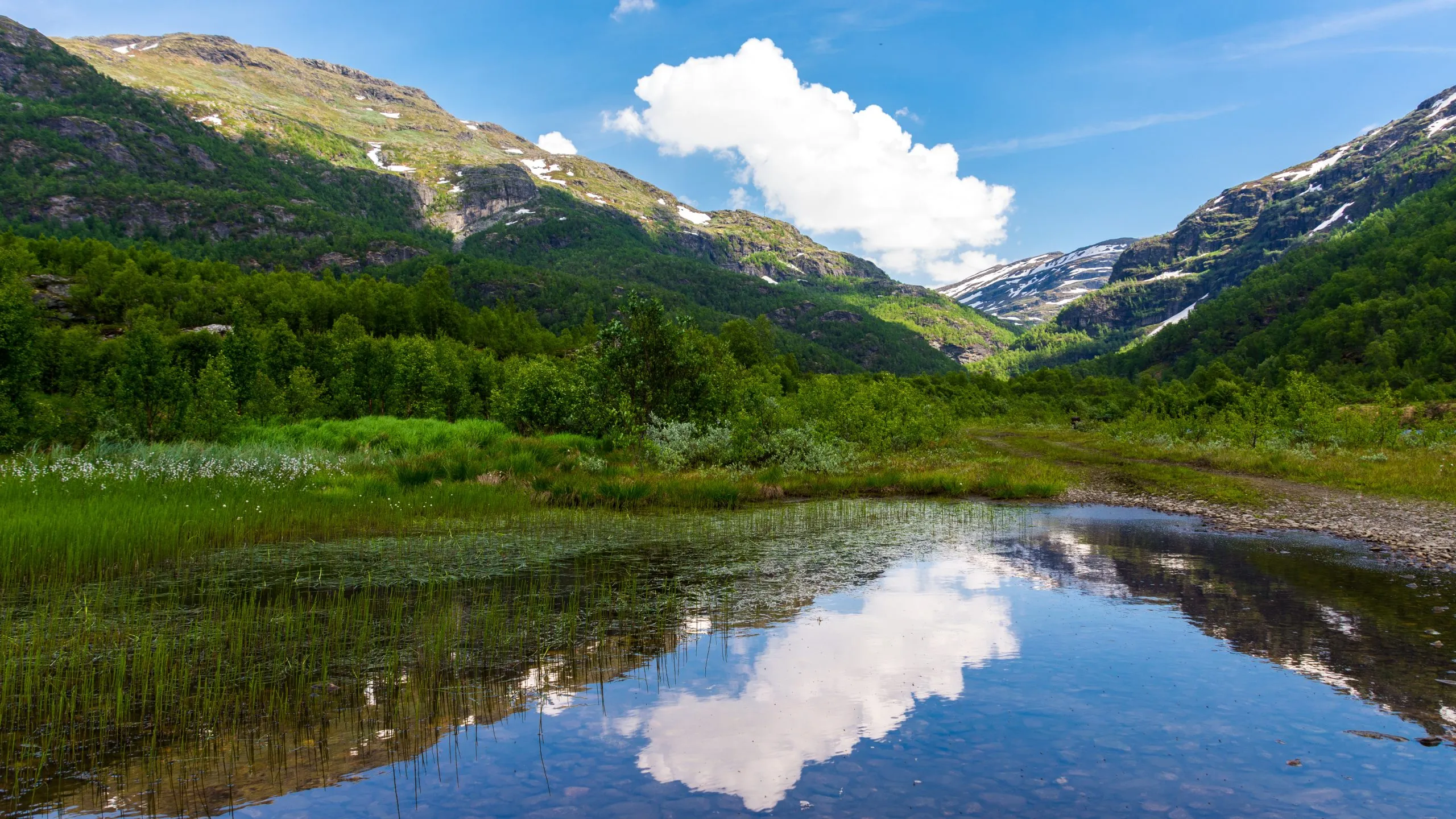 de bergen en meren van Noorwegen bij Osterbo